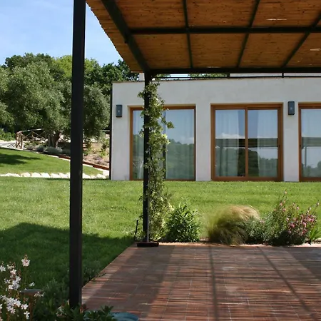 Casa Mansoor