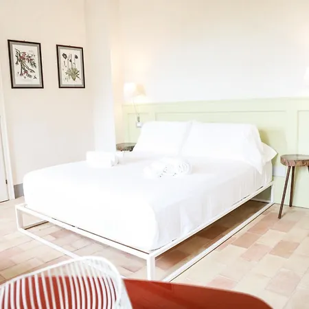Guest house Casa Mansoor 4*
